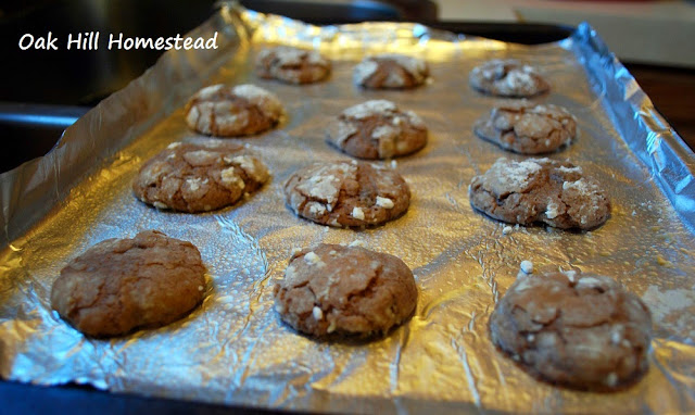 Chocolate crinkle cookies fresh out of the oven.