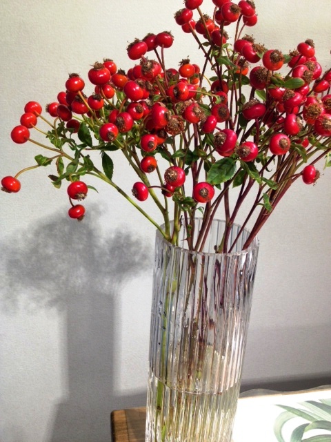 葉織 Haori Flowers 新宿区のお花屋さん バラの果実 センセーショナルファンタジー 葉織 Haori Flowers 新宿区のお花屋さん バラの果実 センセーショナルファンタジー