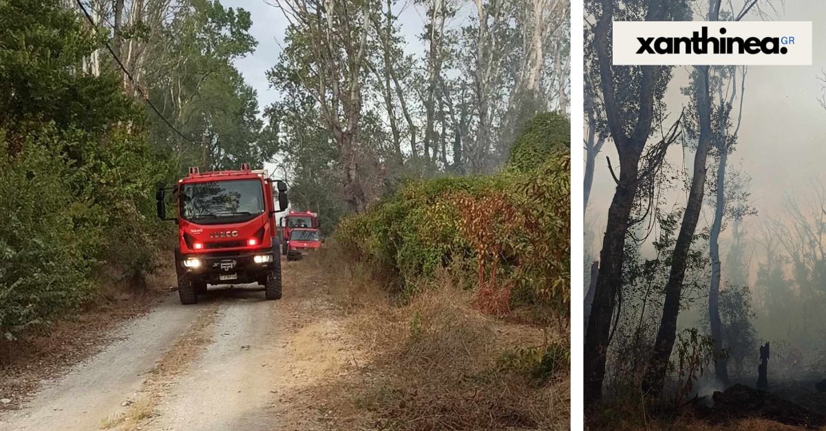 Ξάνθη: Μεγάλη πυρκαγιά στο Δάσος Κοτζά Ορμάν - Σηκώθηκαν εναέρια μέσα [ΒΙΝΤΕΟ]