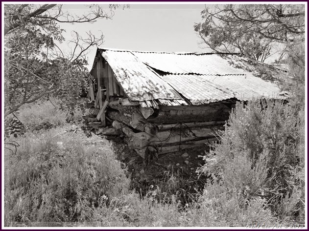 EFP-B&W--P1020284