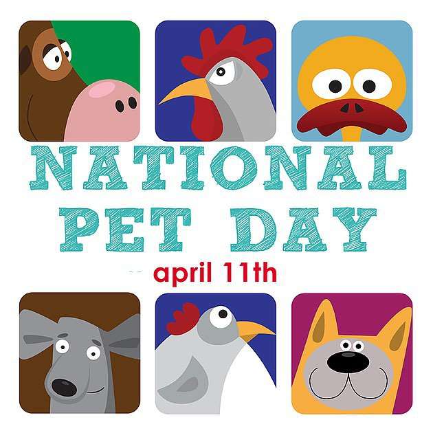 National Pet Day Wishes for Whatsapp