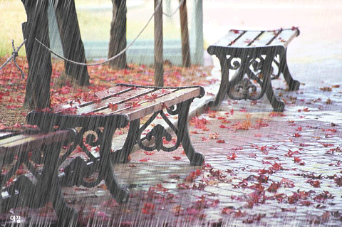 Animated gif image of rain in autumn
