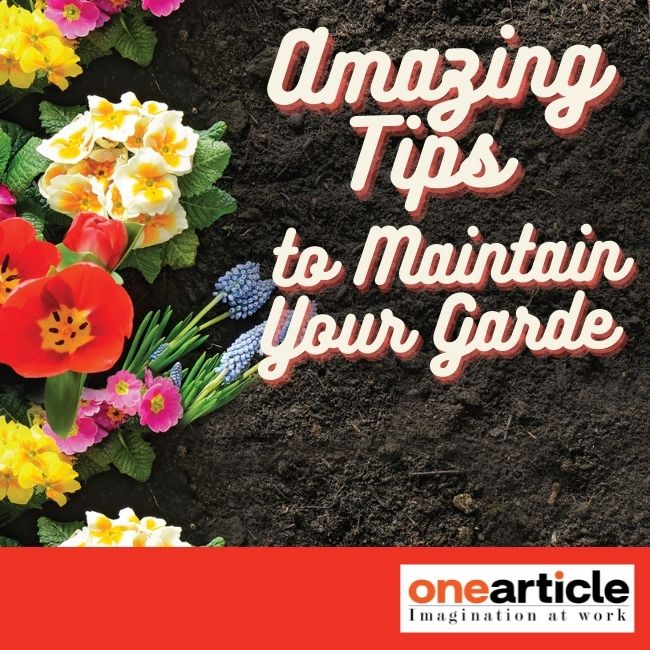 8 Amazing Tips to Maintain Your Garden Easily