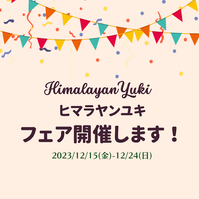 明日からヒマラヤンユキフェアがスタートです！