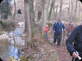 IMG_6561