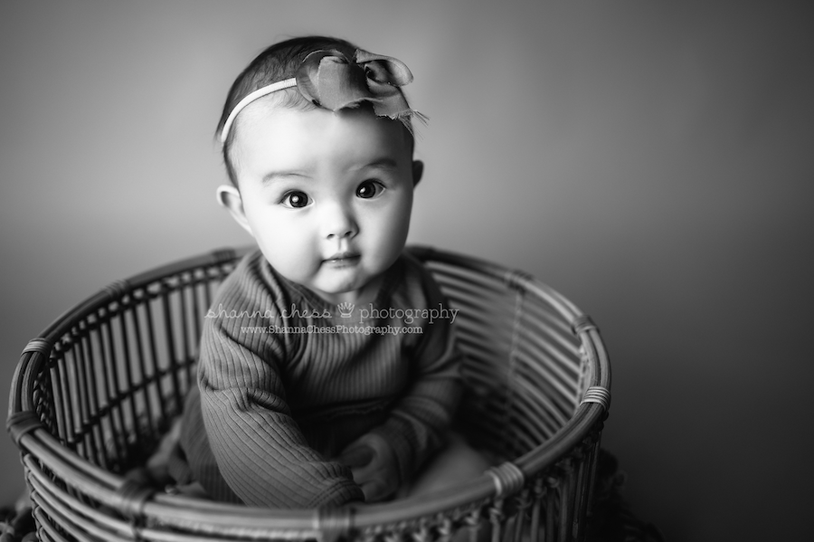 Eugene OR baby photography studio milestone sessions