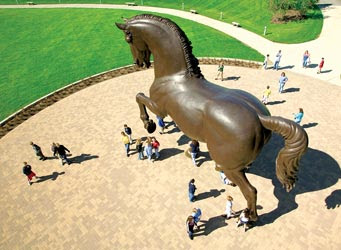 The Leonardo da Vinci Horse