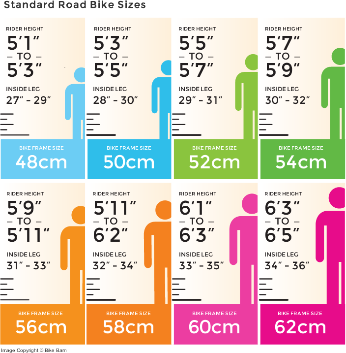 bike sizes standard