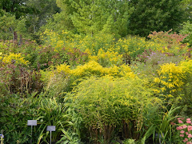 Toronto Botanical Garden autumn perennial border by garden muses-not another Toronto gardening blog