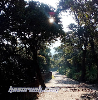 kasarunk : wisata tangkuban perahu