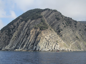 Cinque Terra coastline