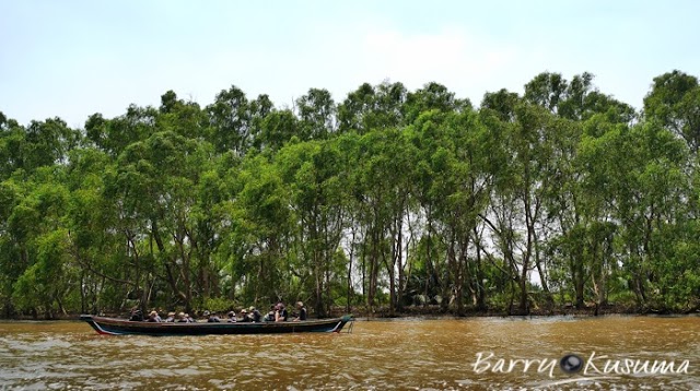 Mengunjungi Bekantan di Pulau Kaget Borneo.