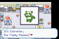 Pokemon Aluminum Screenshot 01