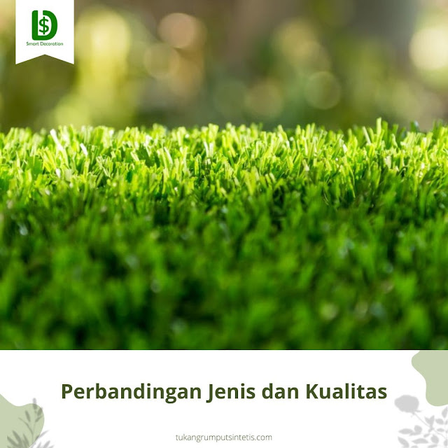 Harga Rumput Palsu untuk Taman: Perbandingan Antara Jenis dan Kualitas yang Berbeda