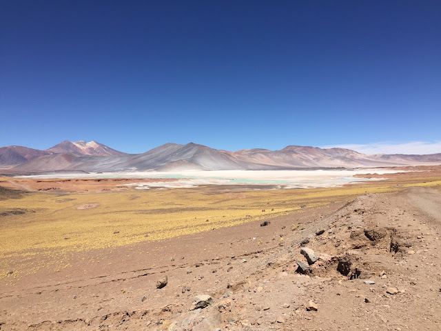 Piedras Rojas Atacama