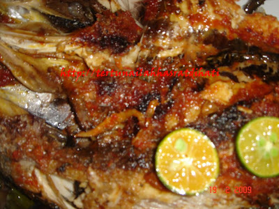 Ikan Hias Foto: sambal ikan bakar