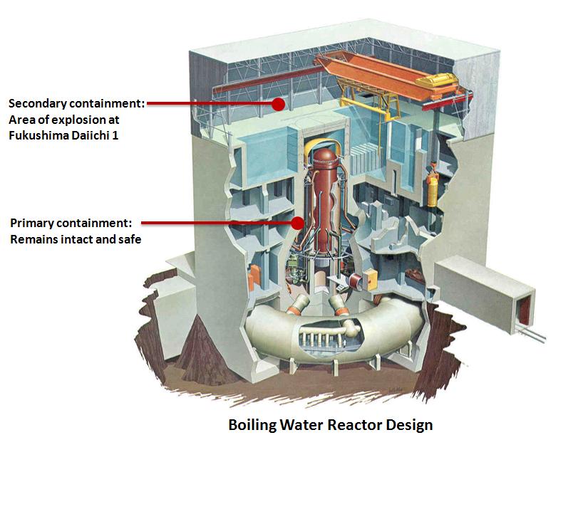 fukushima nuclear power plant before. The plants at Fukushima are so