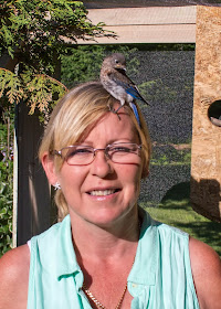 rescued male eastern bluebird fledgling perched on head