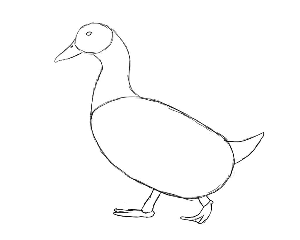 How To Draw A Duck Draw Central How To Draw A Duck Draw Central