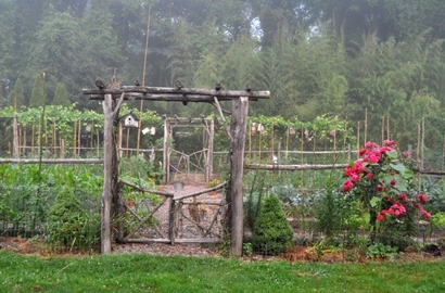 Gardening-Pretty-Vegetable-