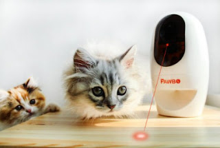 Pawbo Wi-Fi Pet Camera & Treat Dispenser review