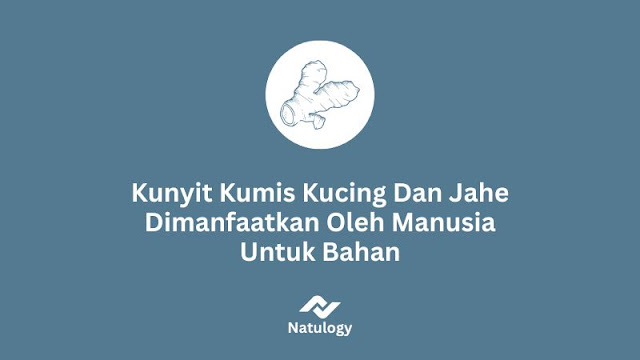 Penggunaan herbal dalam pengobatan