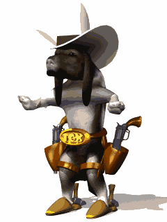cowboys (36)