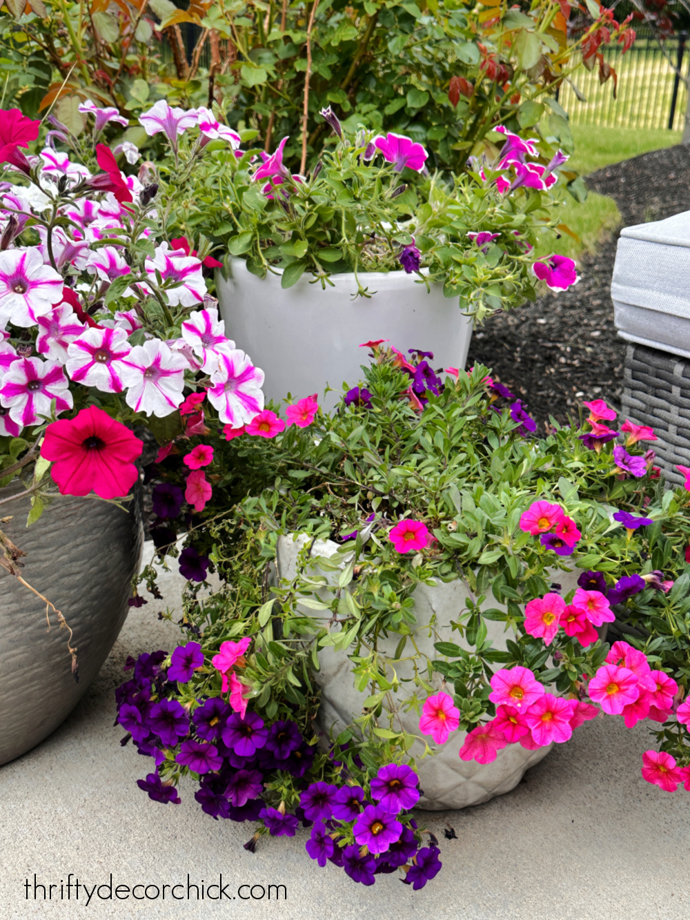 patio planters with bright flowers