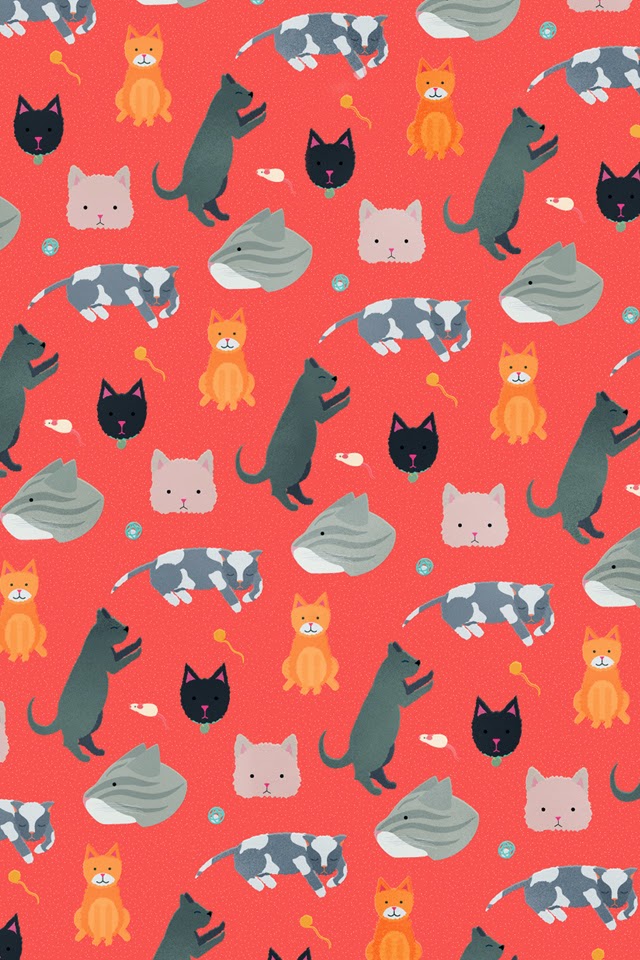 http://poolga.com/poolga/liz-meyer-cats