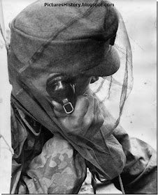 Mountain ranger waffen SS Nord division kola peninsula 1941