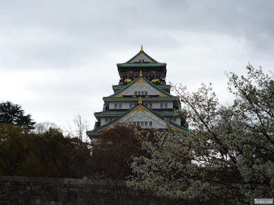 桜と大阪城