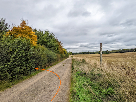 Turn left, still on Ridge footpath 8, then follow the path NNE