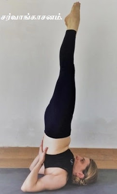 Sarvangasana