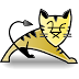 How to install and configure Apache Tomcat Server