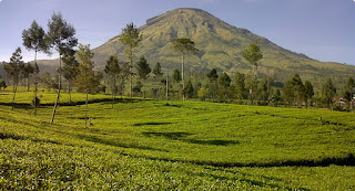 Daftar Lengkap Tempat Wisata di Kabupaten Wonosobo Selain Dieng Plateau