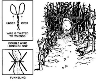  Hantu Rimba Let s make a Trap for pleasure