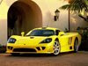 Saleen twin 