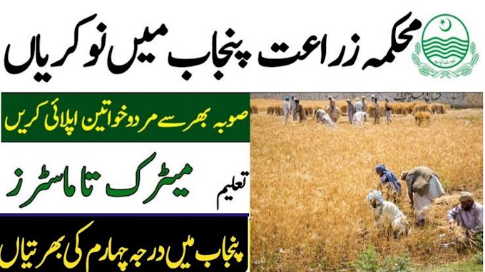 Agriculture Department Punjab New Jobs 2022 Advertisement Application Form