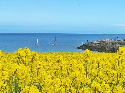 Cliff Walk - Bray Head