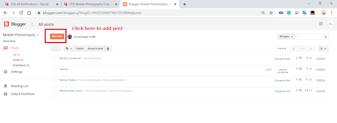 How To Post in Blog 