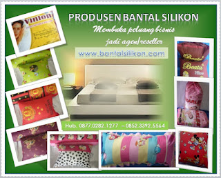 bantal silikon murah,bantal silikon harga,bantal silikon charles,bantal cinta,bantal sofa,bantal kursi,bantal lantai,bantal guling,bantal tidur silikon