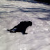 Labrador faz sucesso brincando e escorregando na neve