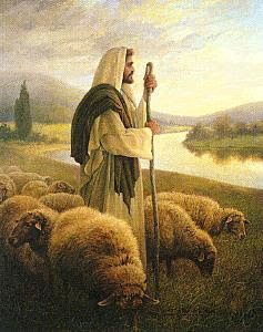 fondos de jesus - ovejas