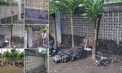View album