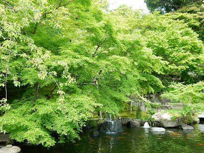 鎌倉 長谷寺の新緑