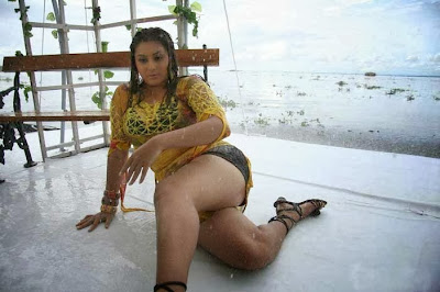 Mallu Namitha Hot Wet Bikini Dress Photos in Enga Maruthu Movie Stills