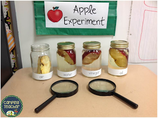 http://iamcampingteacher.blogspot.com/2015/10/apples-experiment.html