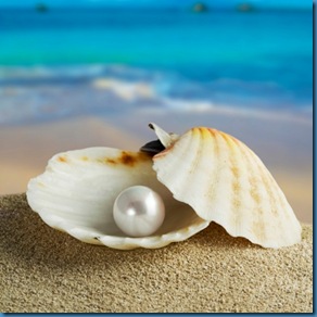 pearl-in-shell_square