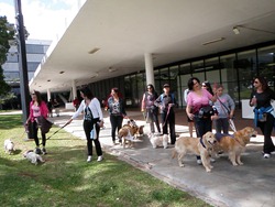 Cãonhecendo 6 (68)