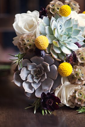 scabiosa pods and chocolate brown cosmos and yellow billy balls